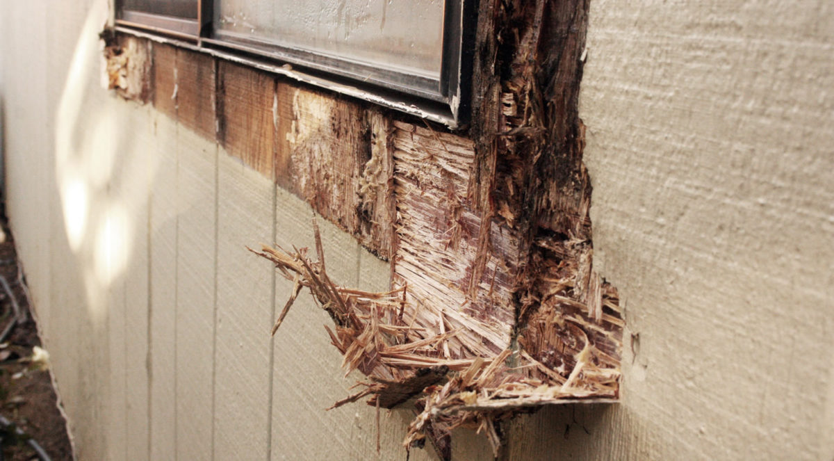 Window Wood Rot Repair Sacramento